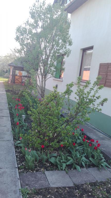 Plajbi Apartment Hajdúszoboszló Exterior foto